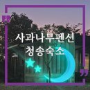사과나무펜션 | 청송 숙소 사과나무펜션 숙박하고, 주산지 다녀오고