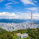 신선로 447번길 이미지