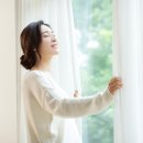 모기아트 이미지