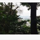 사직2동-6 네이버블로그