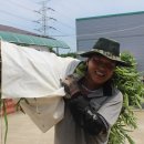 참농농장 이미지