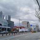 카페마일로안락좋은날에드라마여성