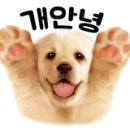 개랑놀아주는남자 이미지
