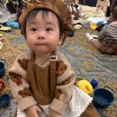 판다백화점 | 안산 롯데백화점 퍼니퍼니 아기판다 후기!