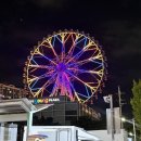 부라더고깃집 | 울산 삼산 돼지고기 맛집 남구 부라더고깃집 | 둘이서 800g | 내돈내산