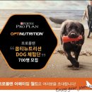 탐나플랜