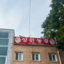 성원농장 | 김포 고촌 삼겹살 맛집, 풍자 또간집 김포편 1등 &#39;성원농장&#39; 후기