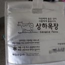 선동목장 이미지