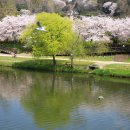 죽도봉공원 이미지