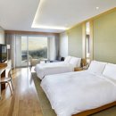 호텔테디밸리 이미지