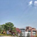 하갈동 테니스장 | 수원겹벚꽃명소 경기도겹벚꽃명소 경희대학교 국제캠퍼스 인생샷찍기