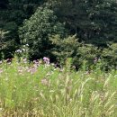 459 | 용인 브런치 카페 묵리459 후기 메뉴추천 주차 포토존