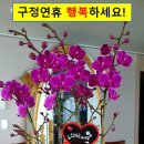 파주인력 이미지