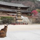 화엄사로 이미지