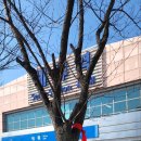 세류주유소 이미지