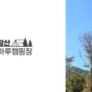 운장산해마루캠핑 이미지