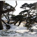 아침의 향기 이미지