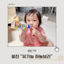 하늘보리 | 아기가 목마를때, 미리 챙기기 좋은 웅진 유기농 하늘보리 내돈내산후기