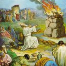 새일초등학교 이미지