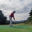 로얄체력단련장 | 용인 처인체력단련장 cc 공략집2 로얄코스 가격 그린피 캐디피