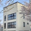 뒹굴뒹굴 | 광주야구장숙소 뒹굴뒹굴 301호 벚꽃 뷰 숙소 후기