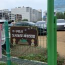 복많은농부 | 2026 구리시 도시농부 체험텃밭 다녀온 후기