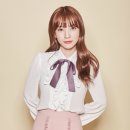 펫다이어리 이미지