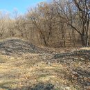 서리상반고려백자요지 이미지