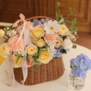 리리플레르