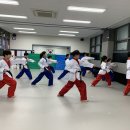 고려대 김세원 태권도 이미지