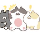 카페브이