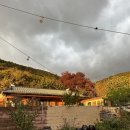 빨간지붕 이미지