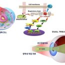 씨엠랩 헬스케어 이미지