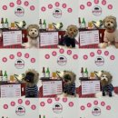 놀러오개 불로점 이미지