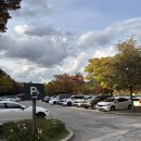 이마트24 화곡소망 | 서울 상암 하늘공원 억새축제 꿀팁 실시간 개화상황 가을 나들이 추천