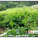 이재성농장 이미지