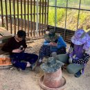 고창행복농장 이미지