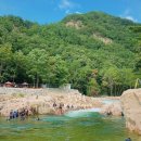 인제나르샤파크 캠핑장 이미지