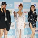박소영포토 이미지