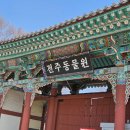 11650-7-22-5 | 아이와 전주여행 코스 추천｜전주동물원 + 드림랜드 레트로 놀이동산 후기(22개월 쌍둥이)