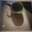 아키스트로 | 빈센트발 그림자 전시 작가 소개 현대 미술 작가로 주목받는 이유