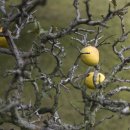 안가마실천 이미지