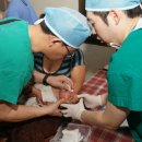 의료 NGO ＜글로벌 케어＞ -- [ 라오스와 베트남 ]으로 수술팀 파견.... 이미지