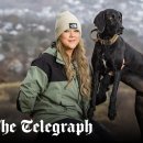 Happy tail 이미지