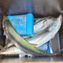 황덕도항 이미지