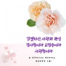 만안평생교육센터 이미지