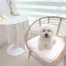 꿀비공방 이미지