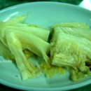 싱그랭이 티스토리