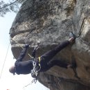 에코로드 Daum카페