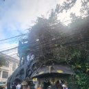 온동농장 | 달랏 크레이지하우스 입장료&amp;객실 관람후기